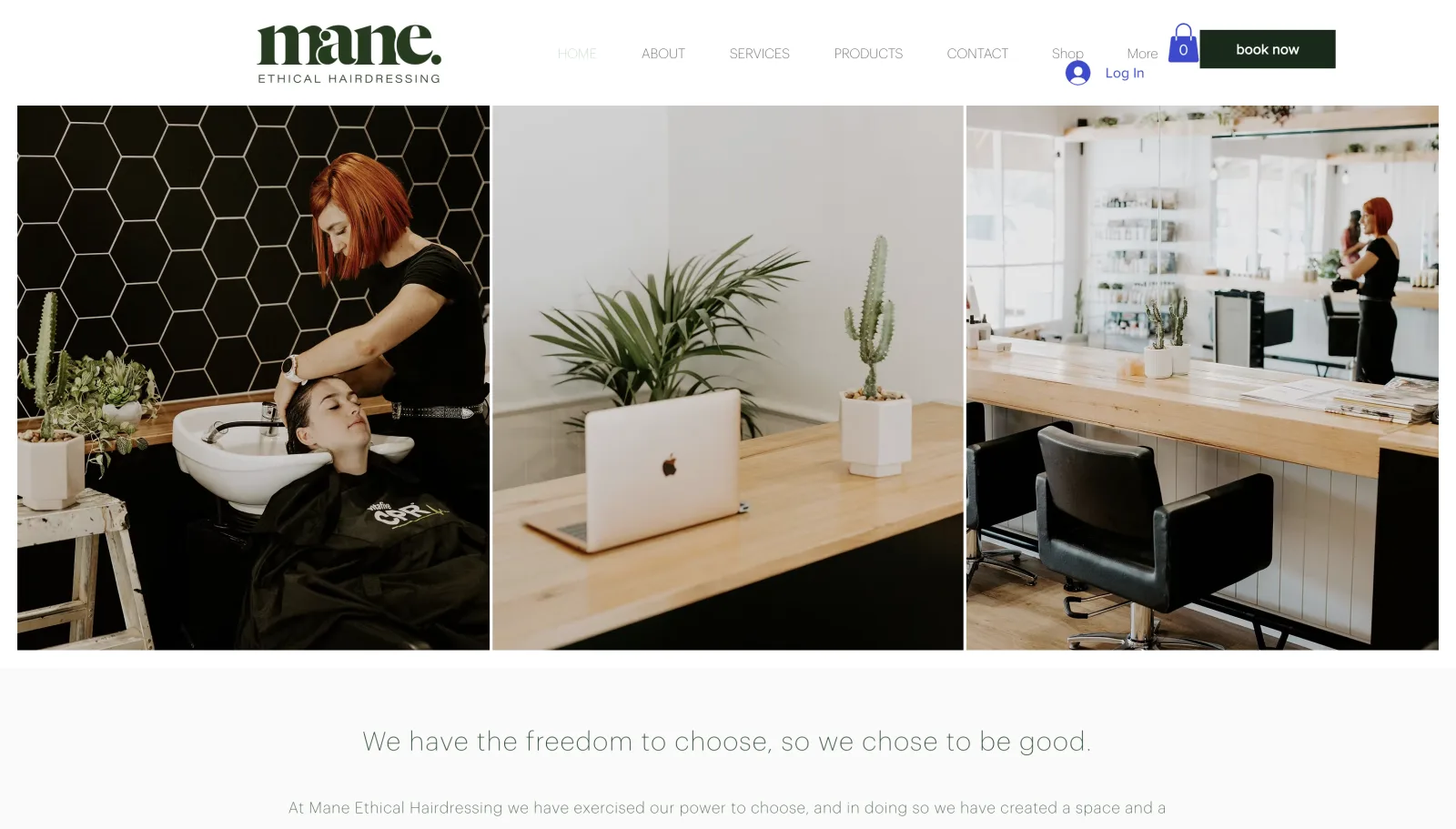 Mane Ethical Hairdressing website
